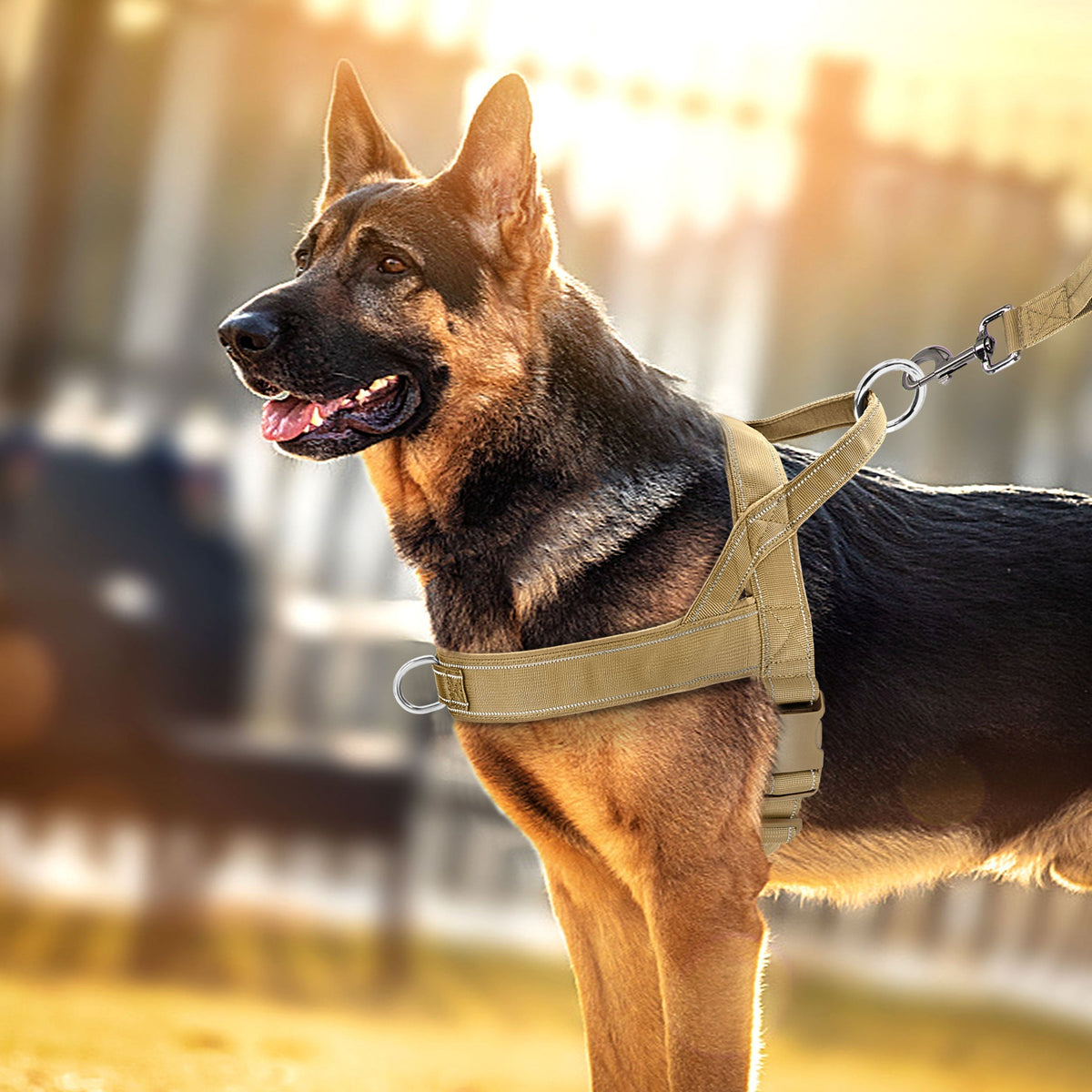 No-Pull Hundegeschirr mit Reflektordetails